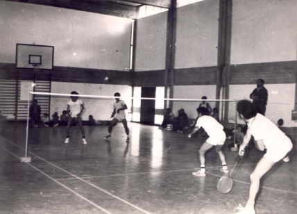 1974–1982 – ראשית הדרך