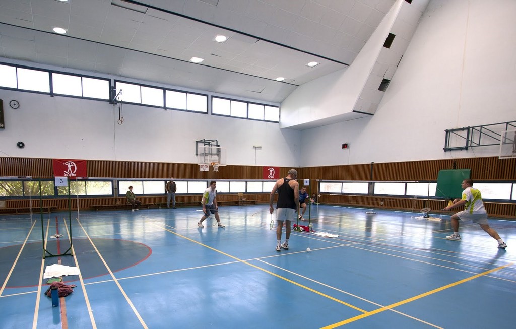2011 – הפועל