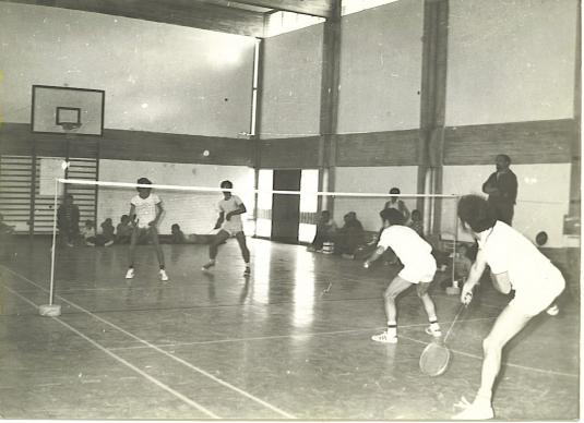 1975 – שנת הבוסר